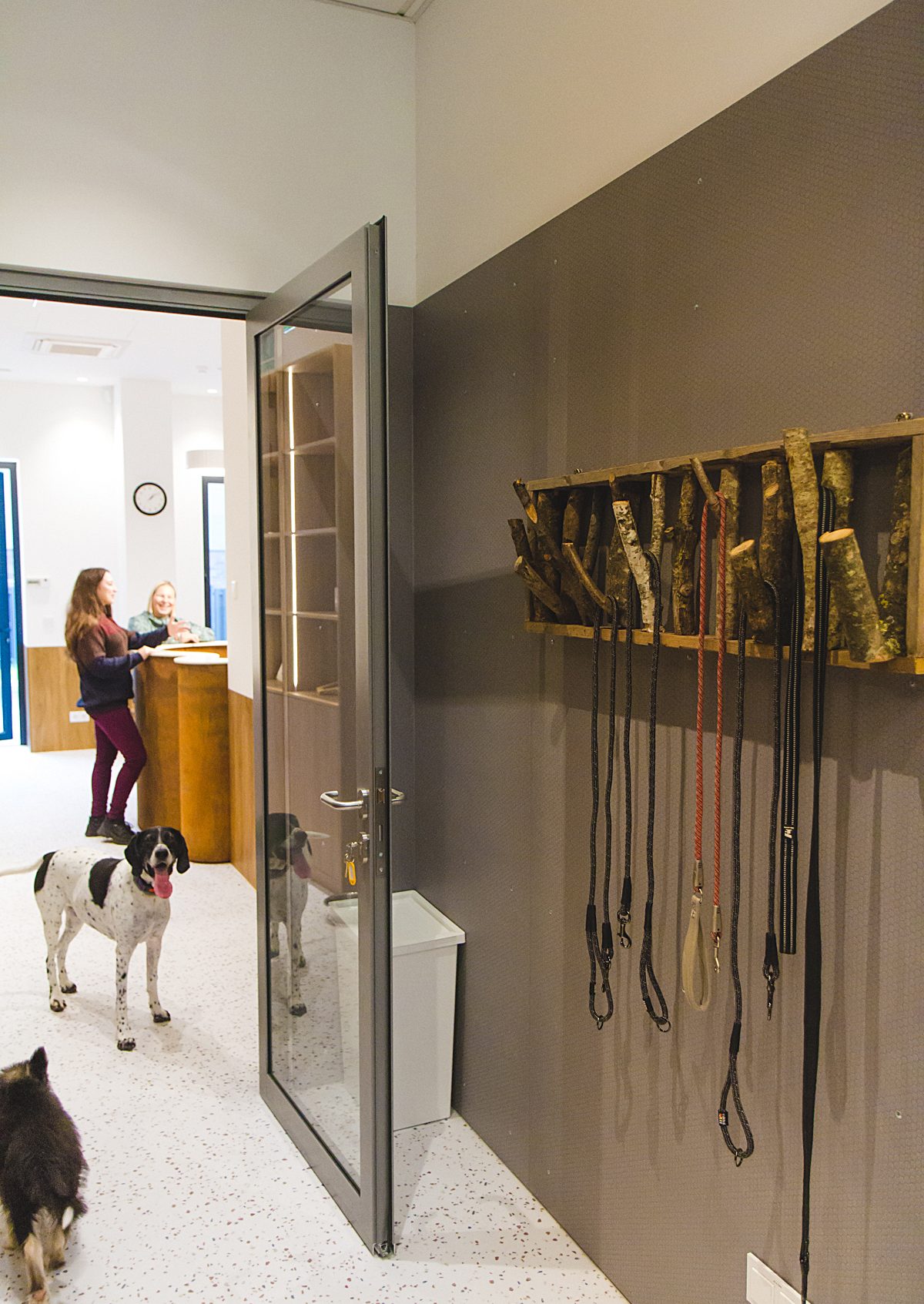 Šunų centras vilniuje, Šunų viešbutis vilniuje, Didžiausias Lietuvoje gyvūnų gydymo ir sveikatinimo kompleksas.